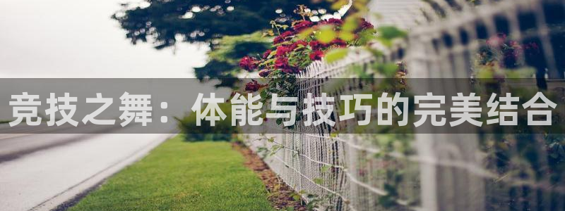 杏悦2体育凯捷平台注册：竞技之舞：体能与技巧的完美结合