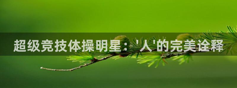 杏悦2注册登录：超级竞技体操明星：\'人\'的完美诠释
