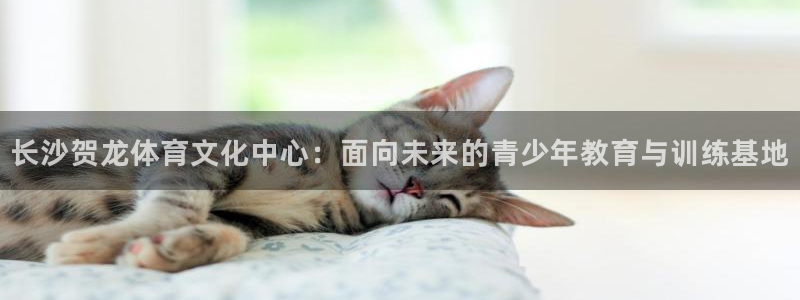 杏悦2体育凯捷平台招商：长沙贺龙体育文化中心：面向未来的青少年教育与训练基地