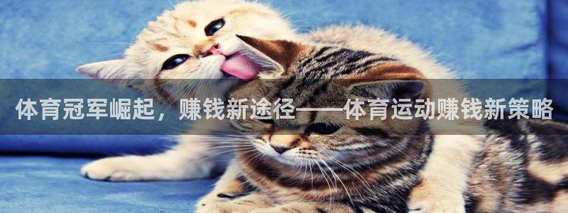 杏悦2体育论坛：体育冠军崛起，赚钱新途径——体育运动赚钱新策略