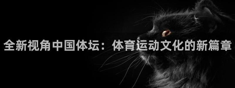 杏悦2集团总部：全新视角中国体坛：体育运动文化的新篇章