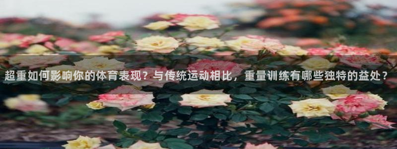 杏悦2平台注册入口：超重如何影响你的体育表现？与传统运动相比，重量训练有哪些独特的益处？