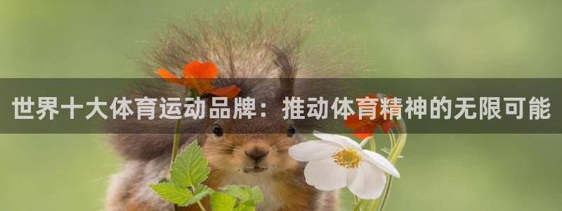 杏悦2f凯捷平台在线注册：世界十大体育运动品牌：推动体育精神的无限可能