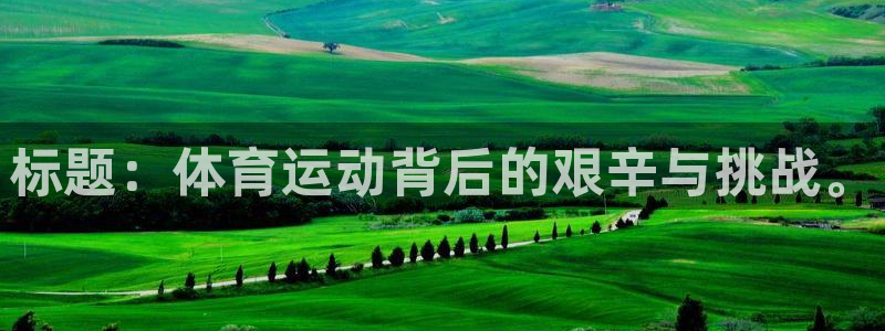 杏悦22平台登录：标题：体育运动背后的艰辛与挑战。