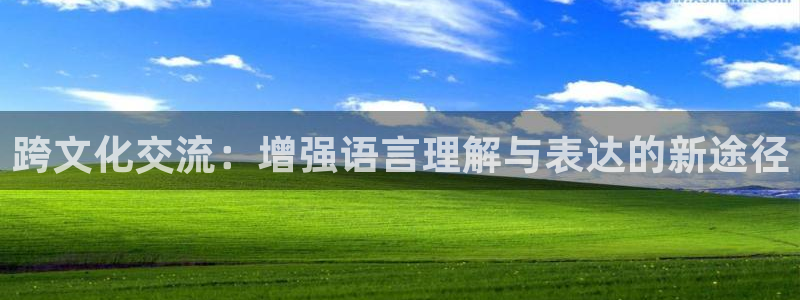 杏悦2代理注册：跨文化交流：增强语言理解与表达的新途径