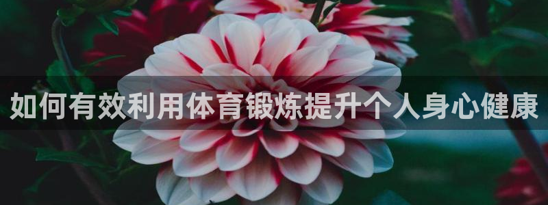 杏悦23代理：如何有效利用体育锻炼提升个人身心健康