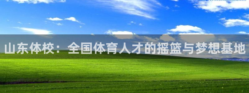 杏悦2：山东体校：全国体育人才的摇篮与梦想基地