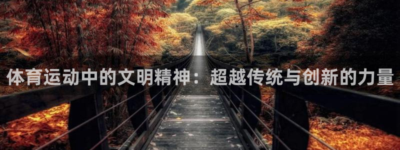 杏悦23官网登录：体育运动中的文明精神：超越传统与创新的力量