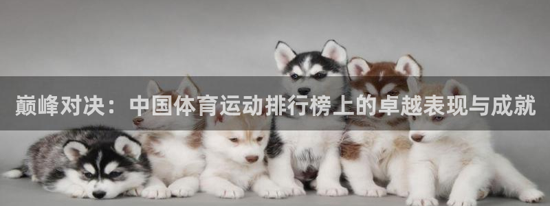 杏悦2体育凯捷代理注册：巅峰对决：中国体育运动排行榜上的卓越表现与成就