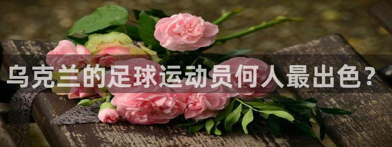 杏悦22平台：乌克兰的足球运动员何人最出色？