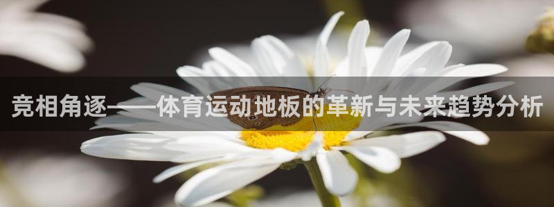 杏悦2f凯捷注册：竞相角逐——体育运动地板的革新与未来趋势分析