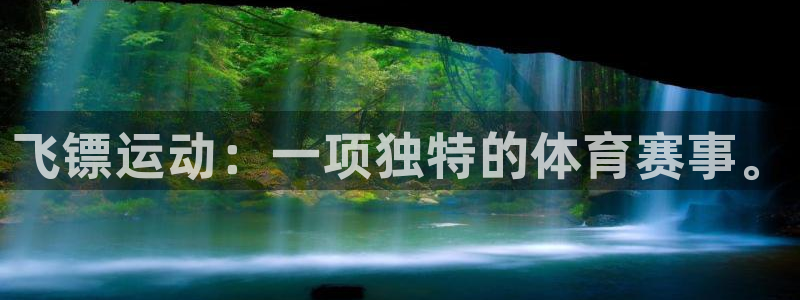 杏悦2代理注册入口：飞镖运动：一项独特的体育赛事。