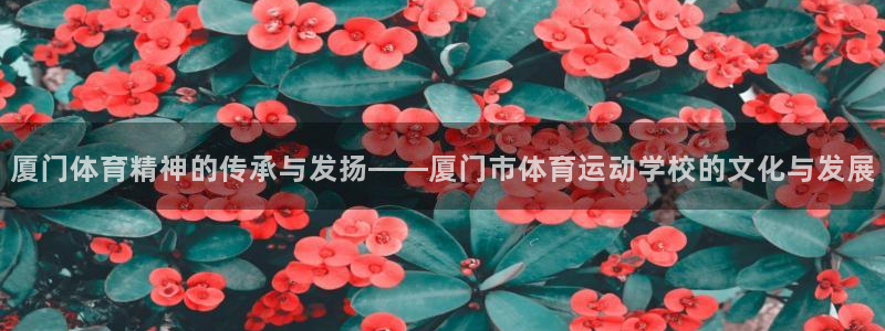 杏悦2代理注册：厦门体育精神的传承与发扬——厦门市体育运动学校的文化与发展