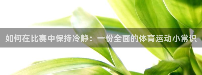 杏悦2体育app下载：如何在比赛中保持冷静：一份全面的体育运动小常识