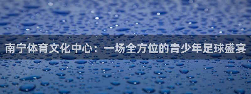 杏悦2的官网：南宁体育文化中心：一场全方位的青少年足球盛宴