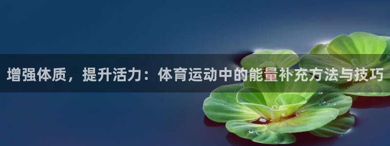 杏悦2平台注册开户：增强体质，提升活力：体育运动中的能量补充方法与技巧